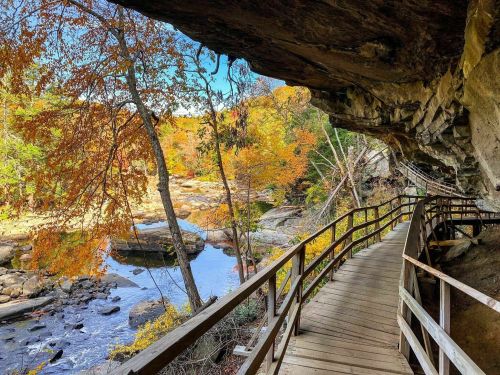 A wooden walkway winds through a colorful autumn landscape by a river, framed by rocky cliffs and vibrant trees.