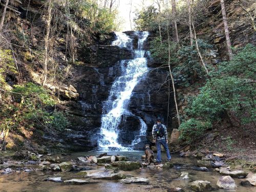 A person stands by a waterfall surrounded by lush greenery and rocky terrain, with a dog nearby.