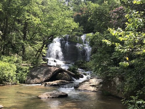 A serene waterfall cascades over rocks, surrounded by lush green trees and foliage in a peaceful natural setting.