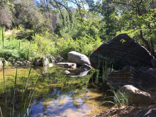 A serene natural scene featuring a calm pond surrounded by lush greenery and large rocks under a clear blue sky.