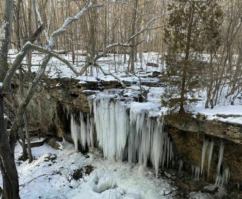 Frozen waterfall surrounded by snow-covered trees and rocky cliffs in a winter landscape.
