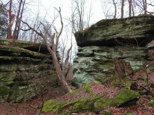 Two large moss-covered rock formations in a wooded area, with bare trees and fallen leaves on the ground.
