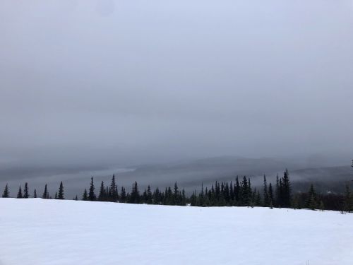 A snowy landscape under a cloudy sky, with evergreen trees in the foreground and misty mountains in the background.