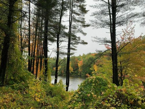 A serene view of a lake surrounded by trees with autumn foliage in shades of green, yellow, and orange.