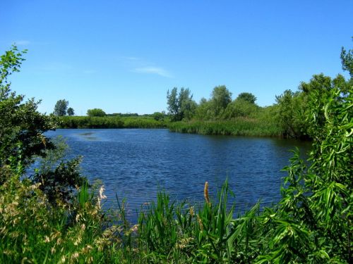A serene river scene surrounded by lush greenery and clear blue skies.