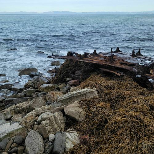 A weathered shipwreck rests on rocky shore, surrounded by seaweed and waves under a cloudy sky.