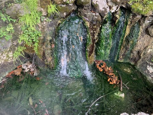A small waterfall flows over moss-covered rocks into a clear pool, surrounded by greenery and fallen leaves.