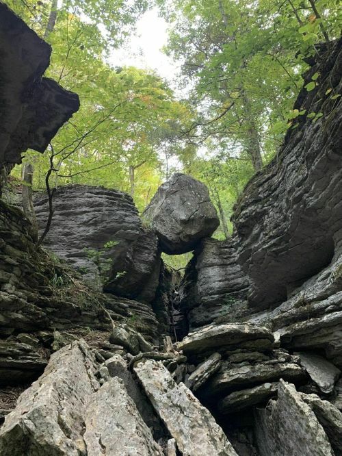 A narrow canyon with towering rock formations and a large boulder balanced between them, surrounded by lush greenery.