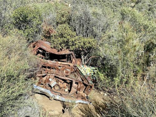 A rusted, abandoned car partially hidden in dense vegetation and shrubs in a natural setting.