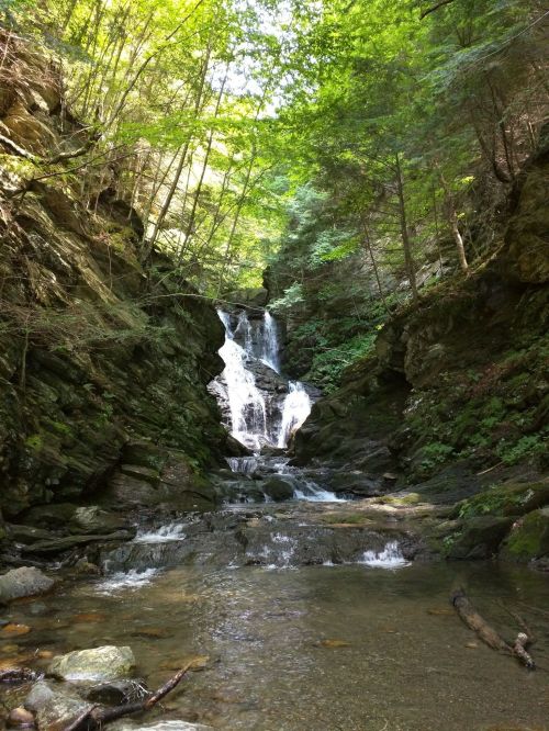 A serene waterfall cascades down rocky cliffs, surrounded by lush green trees and a calm stream below.