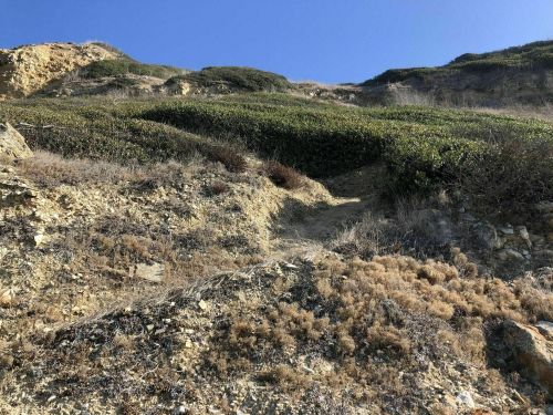 A rocky hillside with sparse vegetation under a clear blue sky.