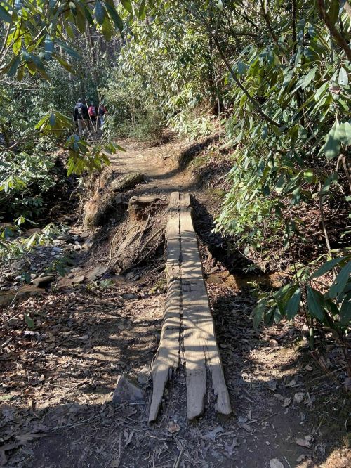 A wooden bridge spans a small creek, surrounded by lush greenery and hikers in the background.