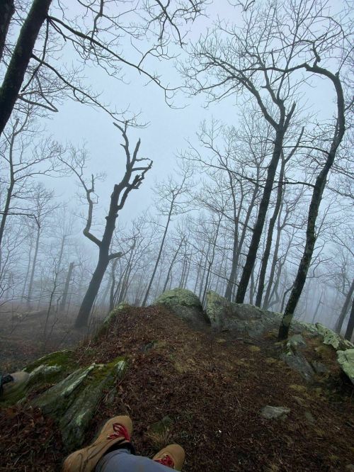 A foggy forest scene with bare trees and rocky ground, viewed from a low angle with a person's feet in the foreground.