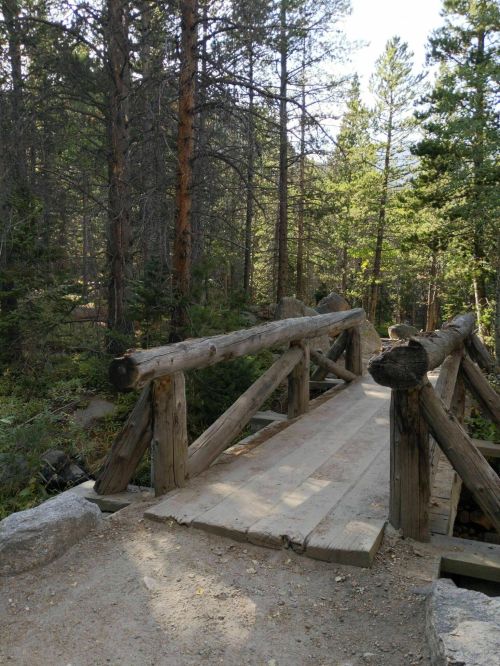 A wooden bridge crosses a forested path surrounded by tall trees and rocky terrain.