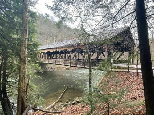 A wooden covered bridge spans a river, surrounded by trees and fallen leaves in a serene, wooded area.