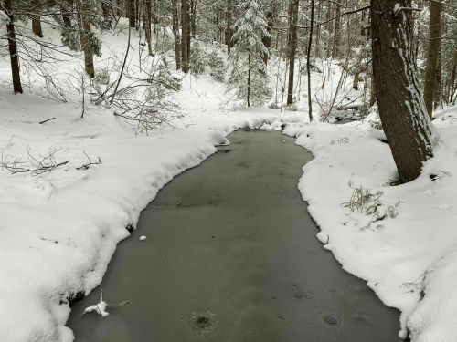 A serene winter scene featuring a narrow, frozen stream surrounded by snow-covered trees and a quiet forest.