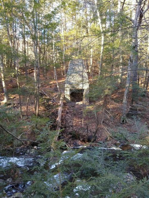 A stone chimney stands among trees by a stream, surrounded by autumn foliage in a serene forest setting.