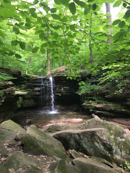 A serene waterfall cascades over rocks into a clear pool, surrounded by lush green foliage and trees.