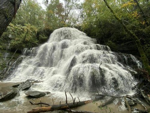 A cascading waterfall flows over rocky tiers, surrounded by lush green trees in a serene natural setting.