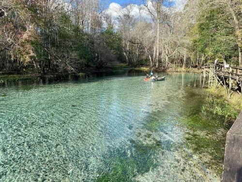 A clear, tranquil river with a canoe and wooden bridge, surrounded by trees and a blue sky.