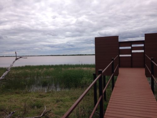 A wooden observation deck extends over a calm lake, surrounded by tall grasses and under a cloudy sky.