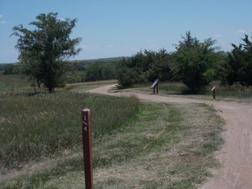 A dirt path winds through a grassy landscape, with trail markers and trees under a clear blue sky.