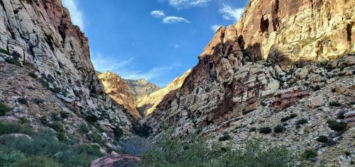 A scenic view of a rocky canyon with towering cliffs and a clear blue sky above.