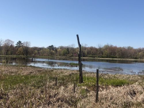 A serene landscape featuring a calm lake surrounded by trees and grassy areas under a clear blue sky.