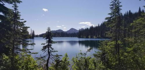 A serene lake surrounded by tall trees and mountains under a clear blue sky. Reflections shimmer on the water's surface.