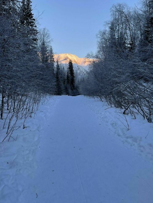 A snowy path leads through trees, with mountains illuminated by sunlight in the background.