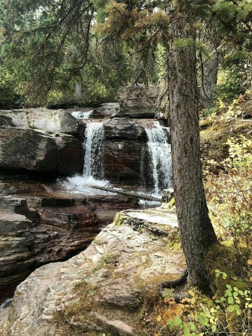 A serene waterfall cascades over rocky terrain, surrounded by lush greenery and tall trees.