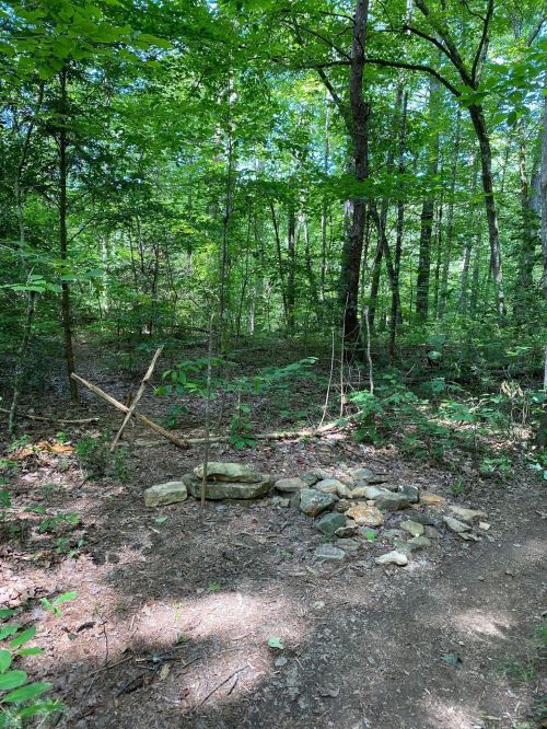 A clearing in a forest with a stone fire pit and a wooden structure, surrounded by lush green trees.