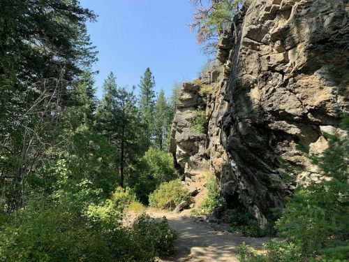 A rocky cliffside surrounded by lush green trees under a clear blue sky on a sunny day.