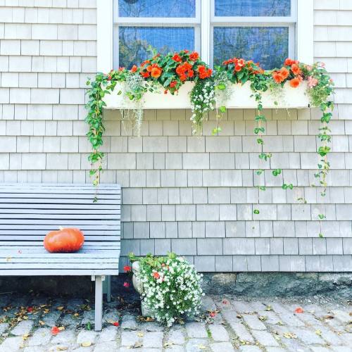 A wooden bench beside a house with a flower-filled window box and a small pumpkin on the ground.