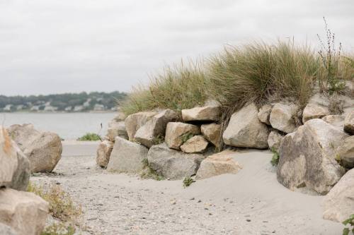 A rocky path leads to a sandy area, bordered by tall grass and a calm body of water in the background.