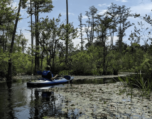 A person kayaking through a serene, green landscape with trees and lily pads on the water.