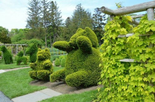 A whimsical topiary garden featuring a large, green rabbit and smaller animal shapes surrounded by lush greenery.
