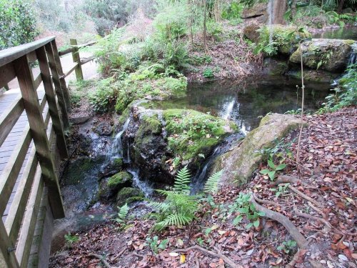 A serene scene of a small stream flowing over rocks, surrounded by lush greenery and a wooden bridge nearby.