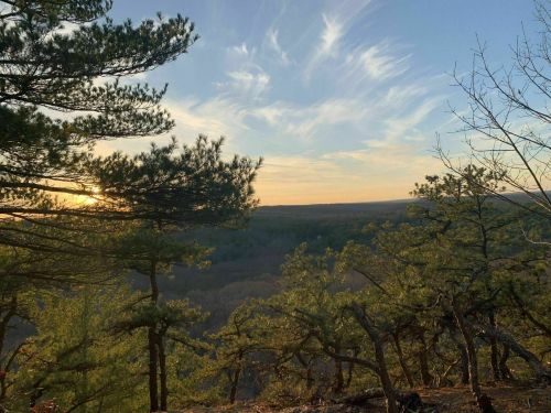 A scenic view of a sunset over rolling hills, framed by pine trees and wispy clouds in the sky.