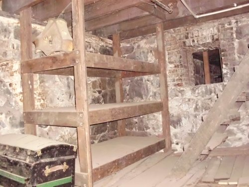 A dimly lit basement with wooden shelves, a stone wall, and a staircase leading up. Dust covers the floor.