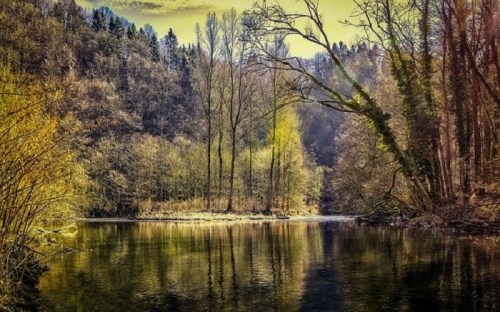 A serene river scene surrounded by trees, reflecting golden light and autumn colors in a tranquil landscape.