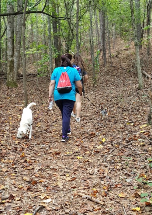 Two people walking on a wooded trail with two dogs, surrounded by trees and fallen leaves.