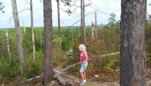 A woman stands on a forest trail, surrounded by tall trees, while hikers are visible in the background.