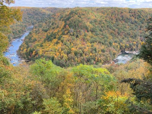 A scenic view of a river winding through a forested valley, showcasing vibrant autumn foliage.