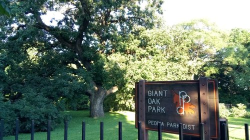 Sign for Giant Oak Park with a large oak tree in the background, surrounded by lush greenery.
