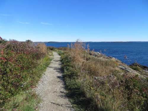 A scenic coastal path lined with grass and shrubs, leading to a calm blue sea under a clear blue sky.