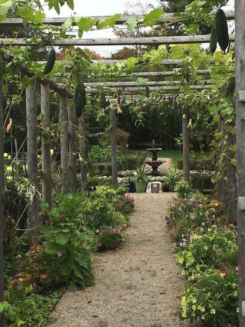 A serene garden path lined with flowers, leading to a fountain, framed by lush greenery and hanging cucumbers.