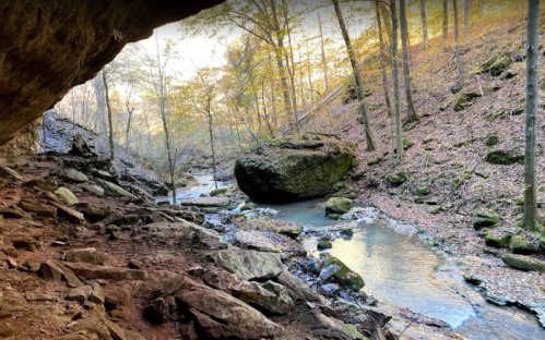 A serene forest scene with a rocky cave entrance, a flowing stream, and autumn foliage in the background.