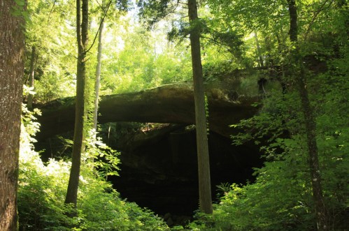 A natural stone arch surrounded by lush green trees and foliage in a forest setting.