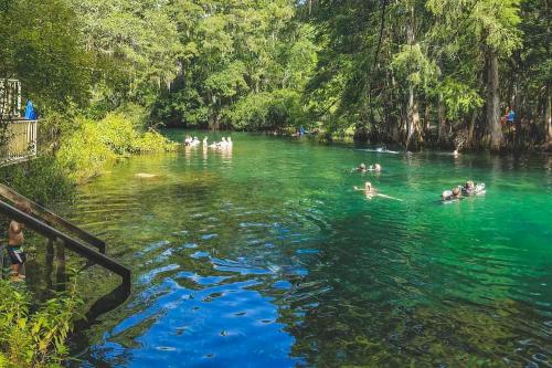 A serene, clear green river surrounded by lush trees, with people swimming and enjoying the water.
